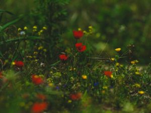 Download Level Up RN Flashcards PDF | Perfect Your Code